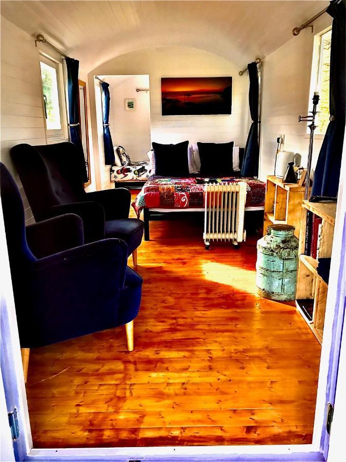Willow Valley Glamping Bude Exteriér fotografie