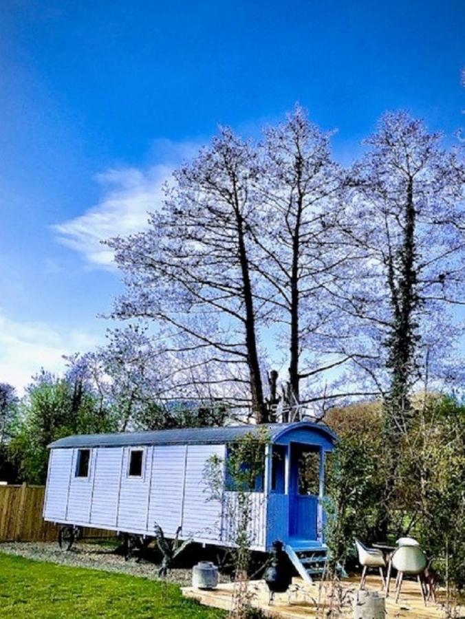 Willow Valley Glamping Bude Exteriér fotografie