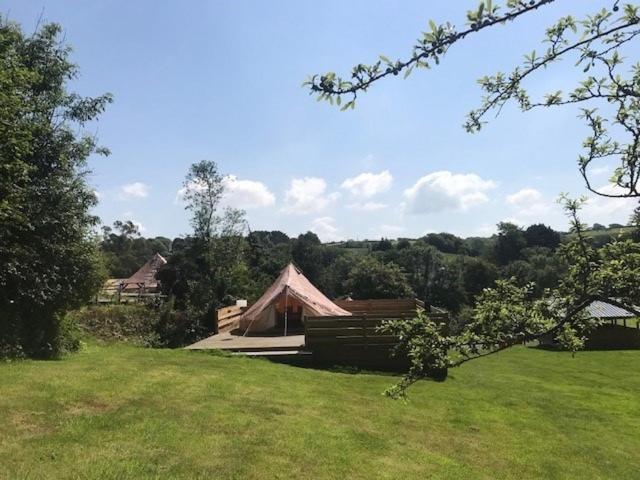 Willow Valley Glamping Bude Exteriér fotografie